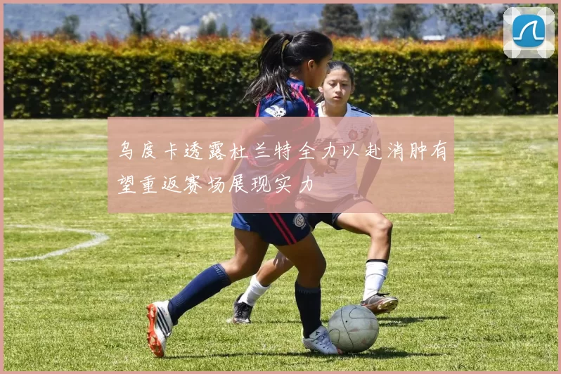 乌度卡透露杜兰特全力以赴消肿有望重返赛场展现实力