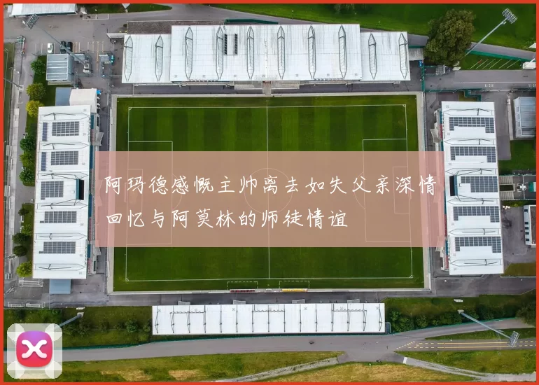 阿玛德感慨主帅离去如失父亲深情回忆与阿莫林的师徒情谊