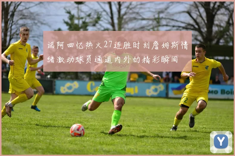 诺阿回忆热火27连胜时刻詹姆斯情绪激动球员通道内外的精彩瞬间